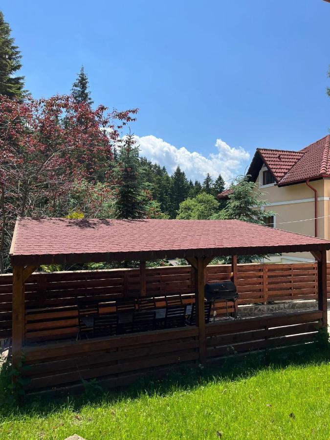 Vila 7 Predeal - Unique Location In The Forest Exterior foto